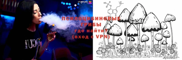 mix Горнозаводск