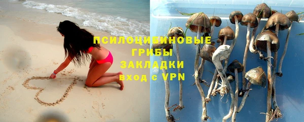 МДПВ Новокубанск