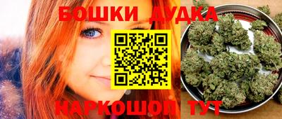 крисы Дубна