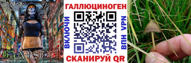 MEGA вход  купить наркотик  Осинники  Галлюциногенные грибы ЛСД 