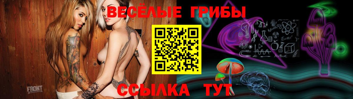 Галлюциногенные грибы MAGIC MUSHROOMS  Вход с VPN  Осинники 